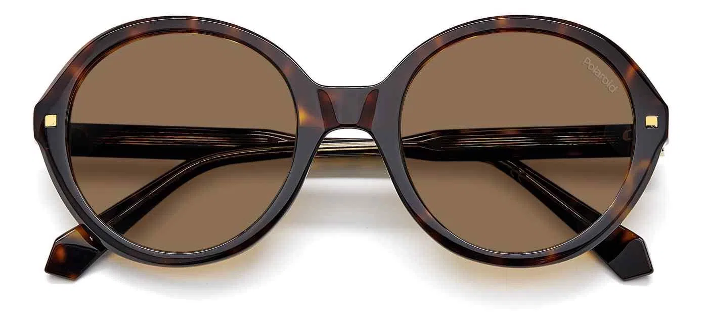 Polaroid Core PLD4114 Sunglasses - view 9